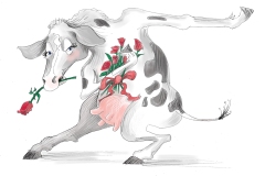 Cow taking Bow