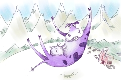 purple cow